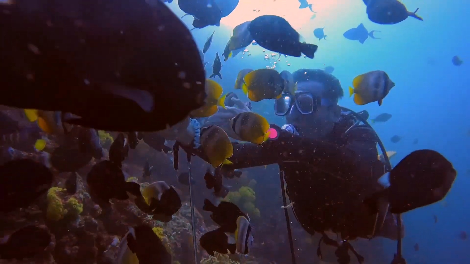 Leisure Dives at ISKUBA Philippines